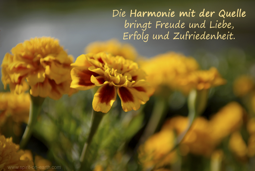 Harmonie-Freude-Resonanzgesetz