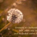 Meditativer Engel- und Heilabend