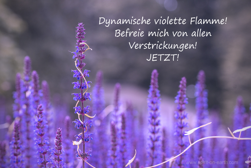 violette Flamme