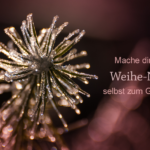 Meditativer Engel- und Heilabend