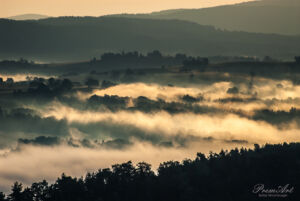 Nebelland Sächsische Schweiz 003