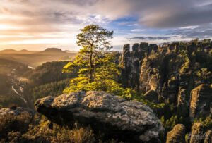Zauberhaftes Morgenlicht