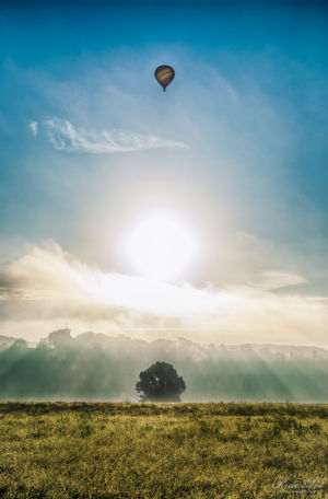Ballon über den Elbwiesen in Dresden