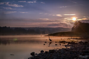 Morgenstimmung an der Elbe in Dresden