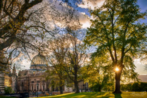 Frühling auf der Brühlschen Terrasse