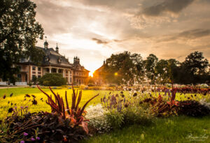 Herbst im Park von Schloss Pillnitz