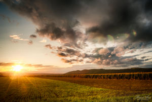 Sonnenuntergang über dem Dresdner Elbtal