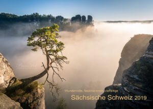 Pölkingkiefer - Kalender 2019 Deckblatt - Sächsische Schweiz