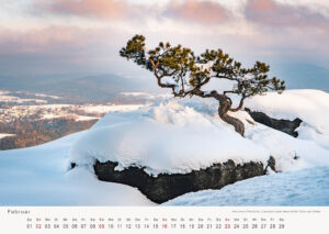 Kalender Sächsische Schweiz 2020 Kiefer Lilienstein