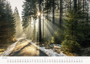 Kalender Sächsische Schweiz 2020 Winterwald