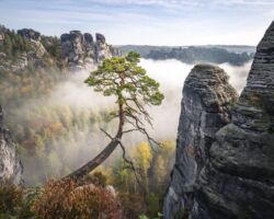 Fotografie Sächsische Schweiz Bastei Pölkingkierfer