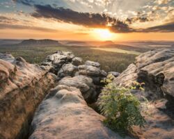Fotografie Sächsische Schweiz Gohrisch Sonnenuntergang