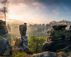 Leinwand 135x90 Wehlnadel