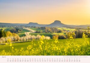 Elbsandsteingebirge - Kalender 2027 Die Kirschallee bei Altendorf im Frühjahr